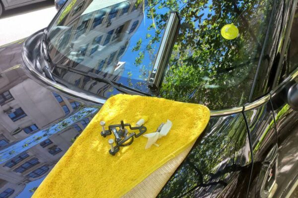 Видалення тріщин на автосклі в Києві: що варто знати водіям